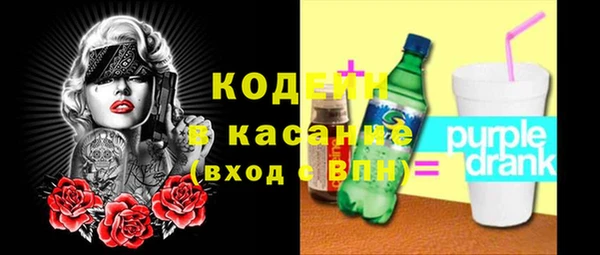 стаф Бородино