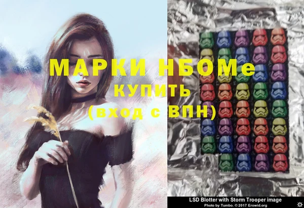 стаф Бородино