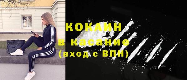 стаф Бородино
