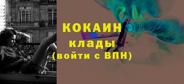 бошки Бронницы