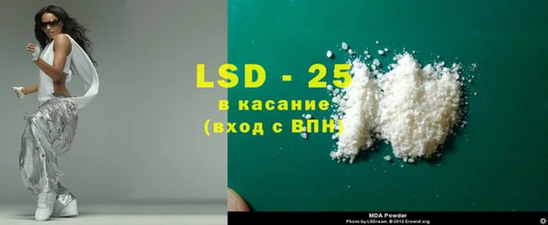 стаф Бородино