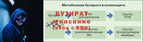 стаф Бородино