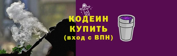 стаф Бородино
