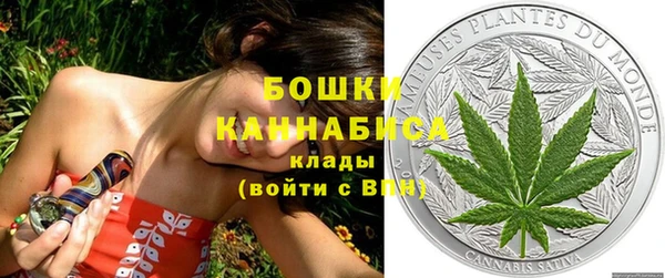 стаф Бородино