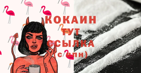 стаф Бородино
