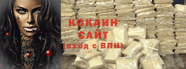 бошки Бронницы
