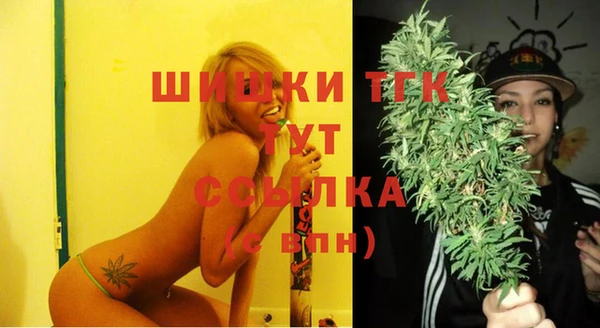 бошки Бронницы