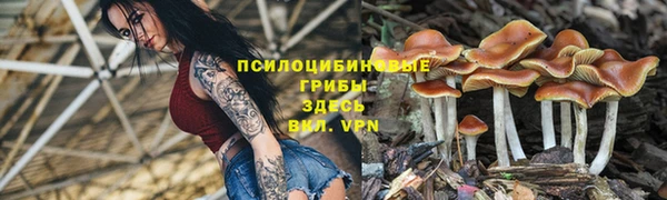 эйфоретик Бугульма