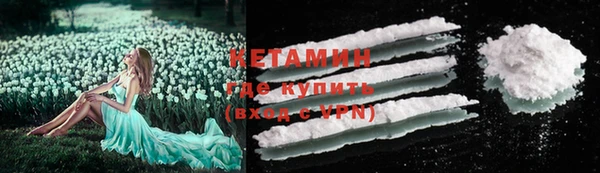 стаф Бородино