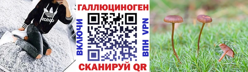 Псилоцибиновые грибы мухоморы  кракен как войти  Озёрск 
